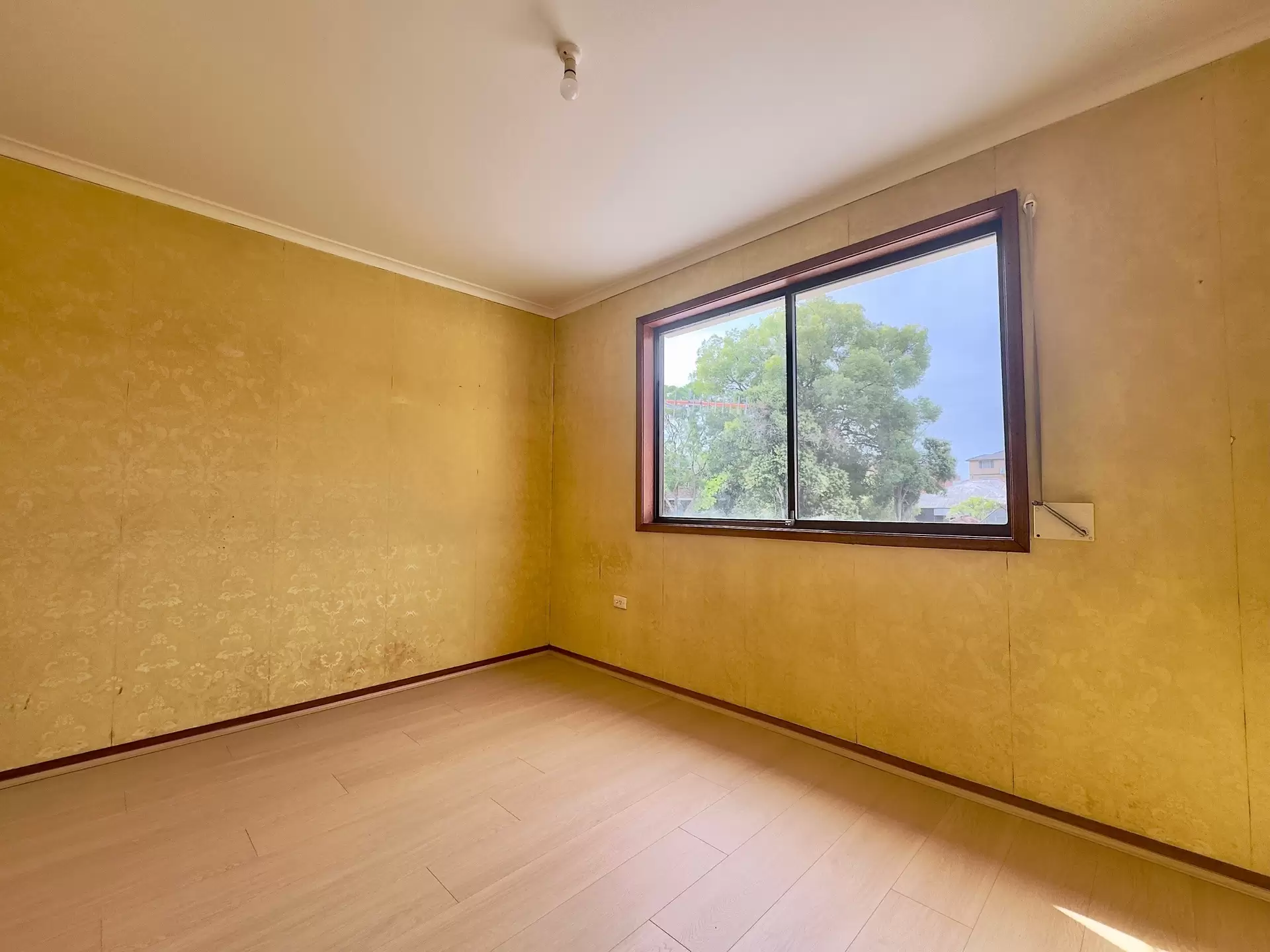 39 Claremont Street, Campsie For Lease by ArthurJames Real Estate (formerly Robert R. Andrews) - image 1