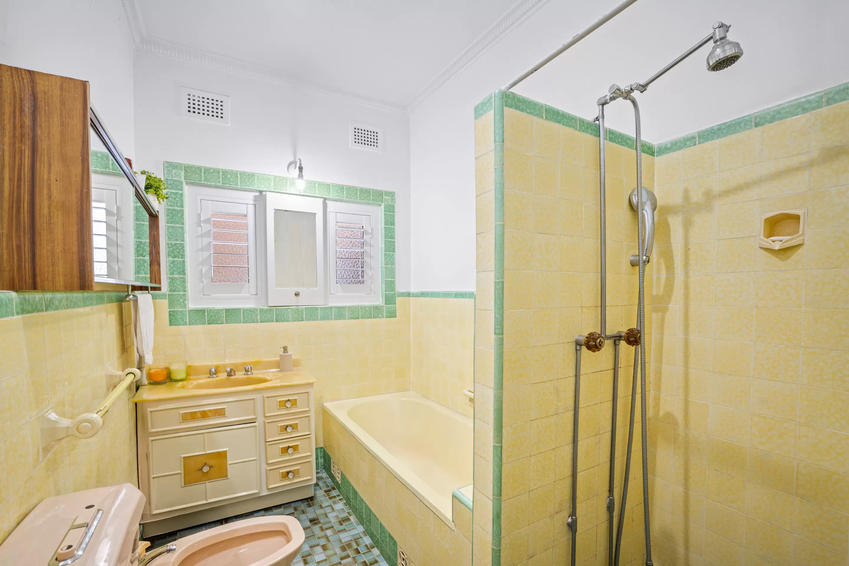 66 Lily Street, Hurstville Auction by ArthurJames Real Estate (formerly Robert R. Andrews) - image 11